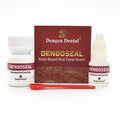 Dengen Dengoseal resin root canal sealer kit by Beetle Dental with two bottles box and red spatula