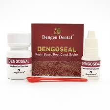 Dengen Dengoseal resin root canal sealer kit by Beetle Dental with two bottles box and red spatula