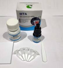 Beetle Dental Dengen MTA Bio Identica root repair material kit with powder jar liquid bottle mixing spatula and dispensing tips