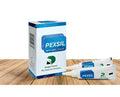 Dengen Pexsil root canal sealer boxed packaging with two white and blue tubes on wooden tabletop