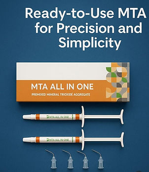 Beetle Dental ready to use syringes and tips with box of MTA all in one root canal sealer for endodontics