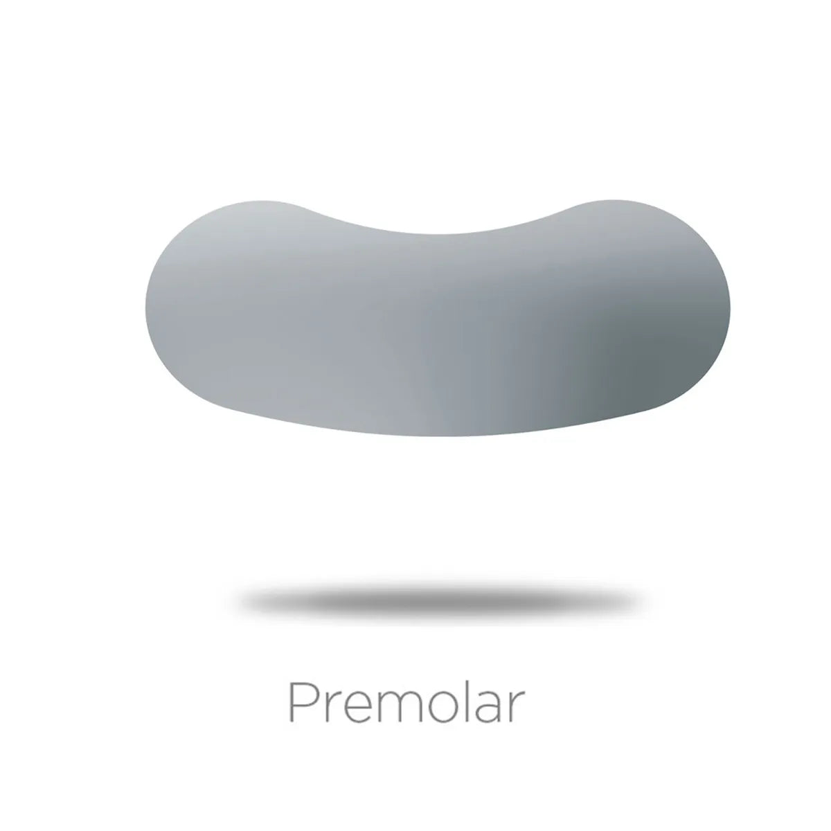 Beetle Dental QuickmatFLEX sectional matrices premolar shape stainless steel contour matrix for tooth restoration