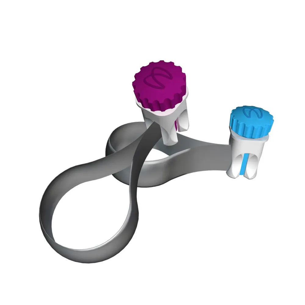 Beetle Dental sectional matrix ring with purple and blue tightening caps and circumferential matrix bands for dental restorations