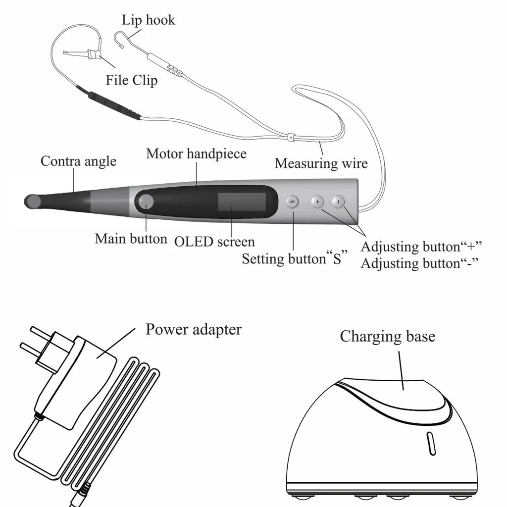 Beetle Dental diagram of Woodpecker Endomatic Endomotor handpiece with contra angle file clip measuring wire and charging base