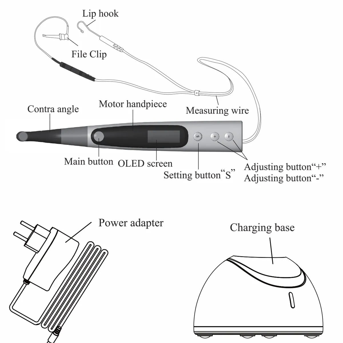 Beetle Dental diagram of Woodpecker Endomatic Endomotor handpiece with contra angle file clip measuring wire and charging base