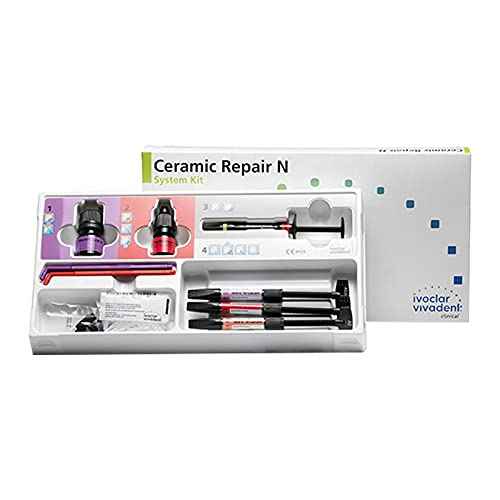 Beetle Dental Windshield Repair Kit for Professional Use