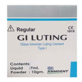 Ammdent Regular GI Luting 10gm