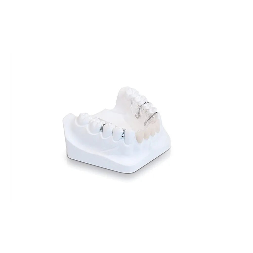 Dental model with clear retainers on upper arch showcasing Scheu Biocryl C dental sheets for aligners