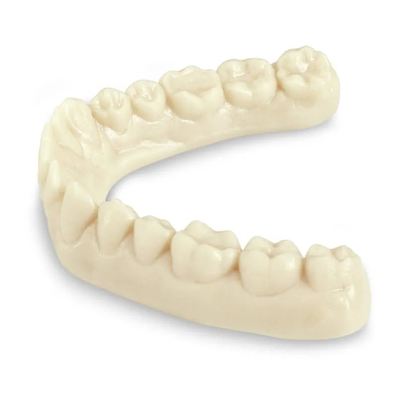 Scheu Imprimo LC dental 3D printing resin printed lower dental arch model in ivory for study and restoration planning