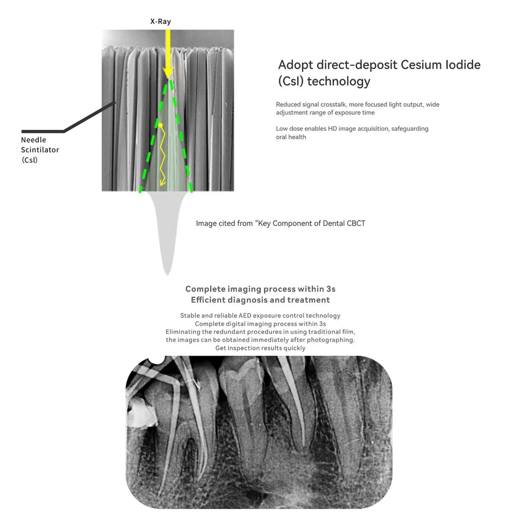Woodpecker Intelli-Sensor RVG size 1.5 cesium iodide sensor cross section diagram and dental periapical x ray